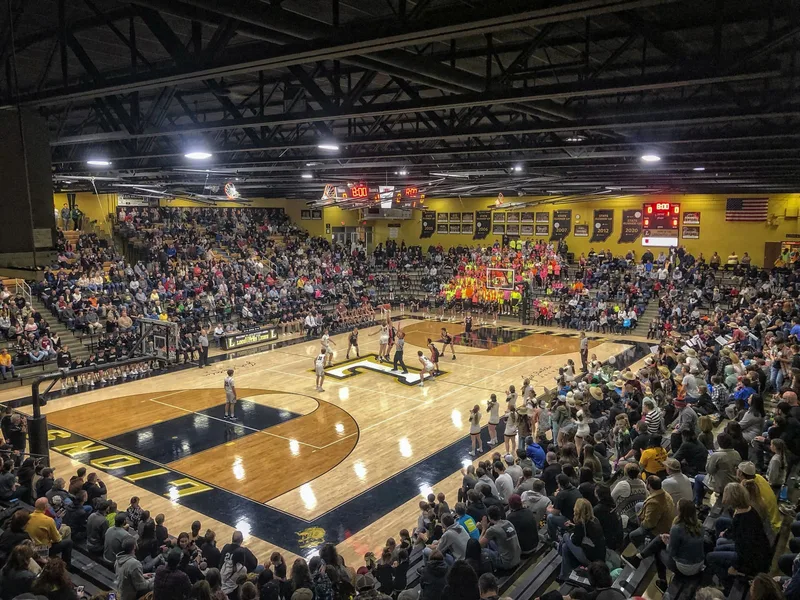 Packed home crowd at a Loogootee Lions basketball game